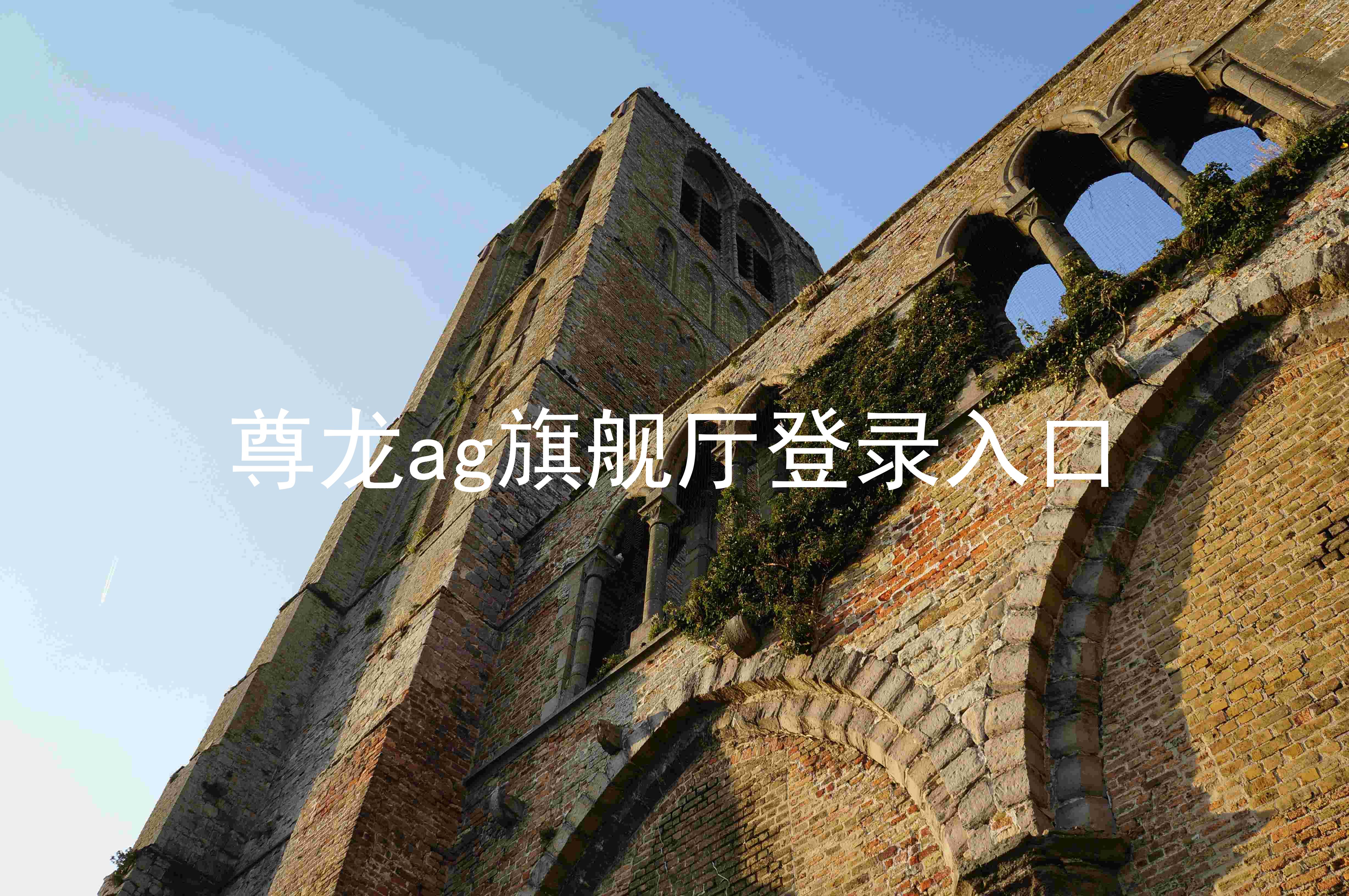 尊龙ag旗舰厅登录入口