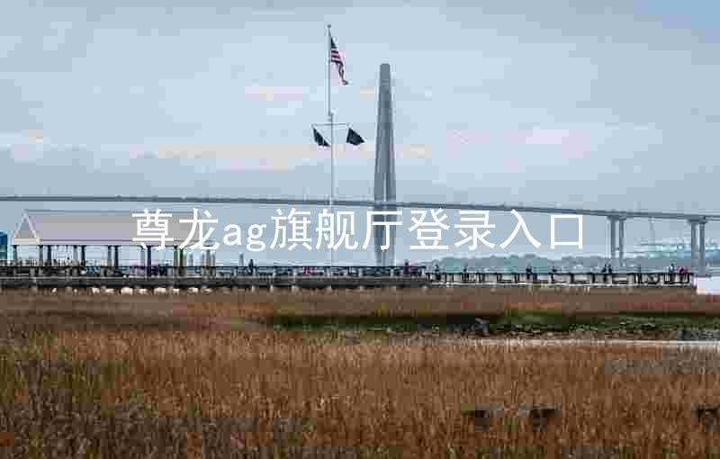 尊龙ag旗舰厅登录入口