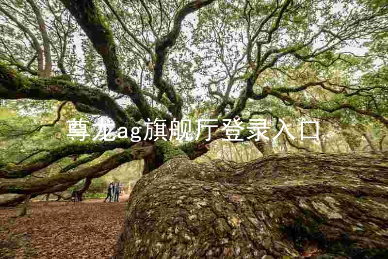 尊龙ag旗舰厅登录入口