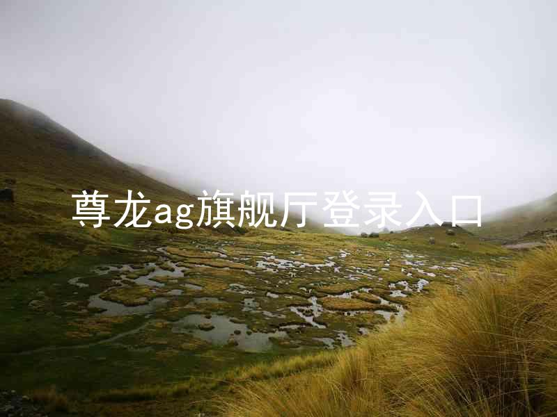 尊龙ag旗舰厅登录入口