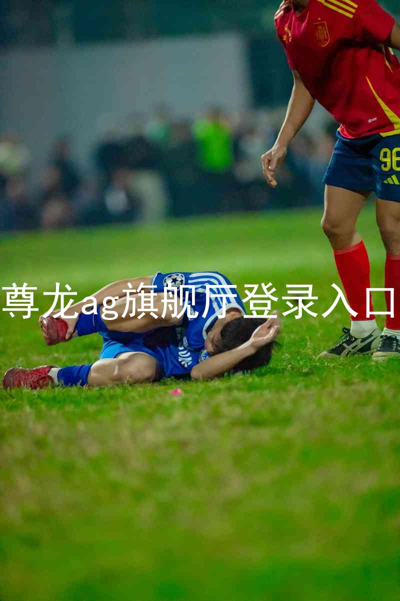 尊龙ag旗舰厅登录入口