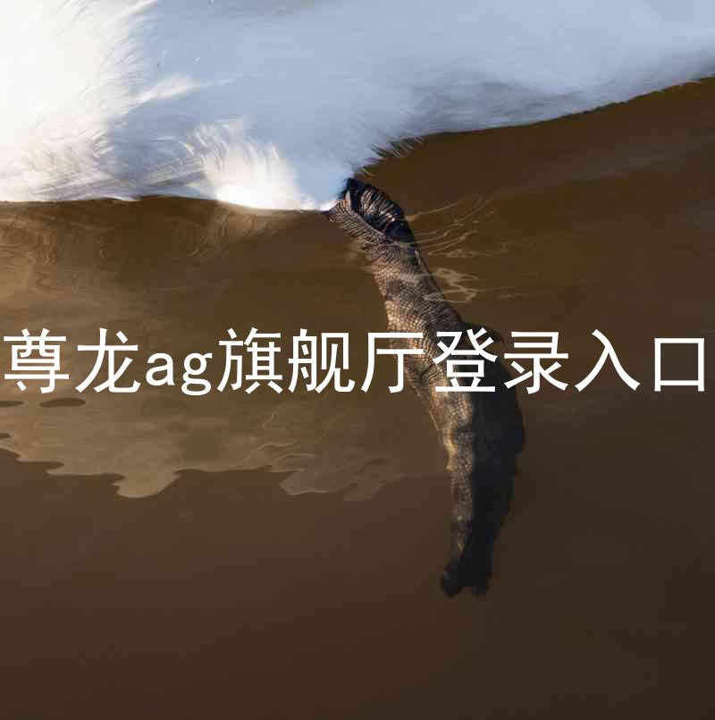 尊龙ag旗舰厅登录入口